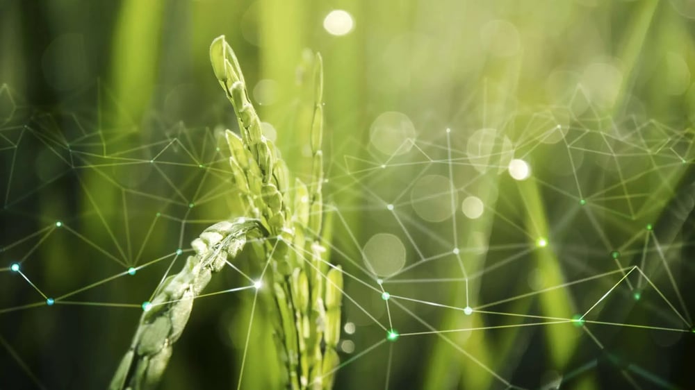 agriculture-iot-with-rice-field-background-scaled